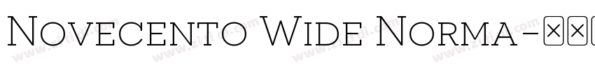 Novecento Wide Norma字体转换
